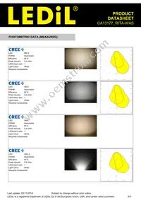 CA13177_RITA-WAS Datasheet Page 3