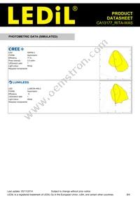 CA13177_RITA-WAS Datasheet Page 8