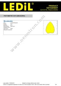 CA13179_TINA3-WWW Datasheet Page 3