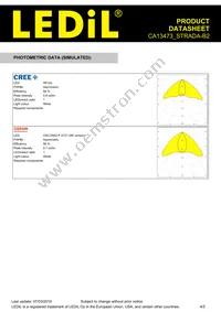 CA13473_STRADA-B2 Datasheet Page 4