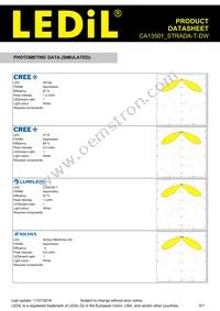 CA13501_STRADA-T-DW Datasheet Page 5