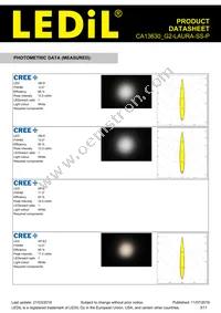 CA13630_G2-LAURA-SS-P Datasheet Page 3