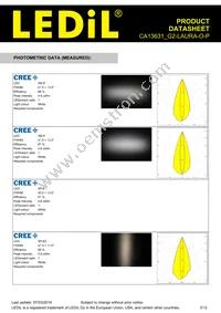 CA13631_G2-LAURA-O-P Datasheet Page 3