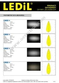 CA13631_G2-LAURA-O-P Datasheet Page 4