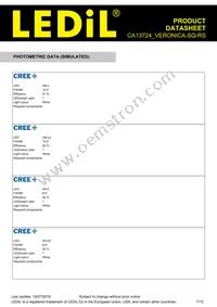 CA13724_VERONICA-SQ-RS Datasheet Page 7