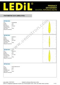 CA13724_VERONICA-SQ-RS Datasheet Page 11