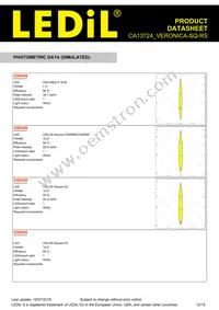 CA13724_VERONICA-SQ-RS Datasheet Page 12