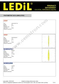 CA13724_VERONICA-SQ-RS Datasheet Page 13