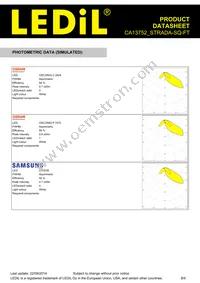 CA13752_STRADA-SQ-FT Datasheet Page 8