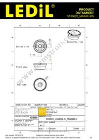 CA13892_MINNIE-XW Datasheet Page 2