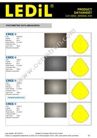 CA13892_MINNIE-XW Datasheet Page 3