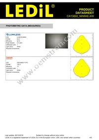 CA13892_MINNIE-XW Datasheet Page 4