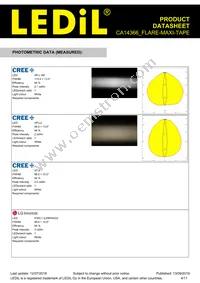 CA14366_FLARE-MAXI-TAPE Datasheet Page 4
