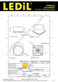 CA14442_VERONICA-SQ-W Datasheet Page 2