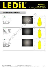 CA14442_VERONICA-SQ-W Datasheet Page 11