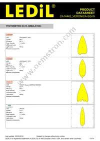 CA14442_VERONICA-SQ-W Datasheet Page 13