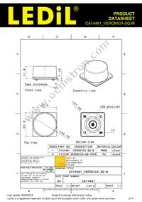 CA14461_VERONICA-SQ-M Datasheet Page 2