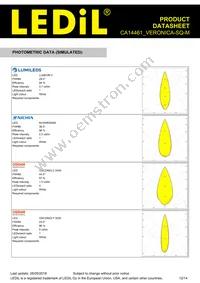 CA14461_VERONICA-SQ-M Datasheet Page 12