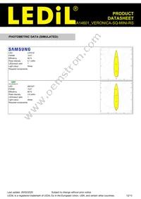 CA14601_VERONICA-SQ-MINI-RS Datasheet Page 12
