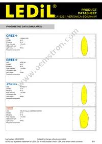 CA15231_VERONICA-SQ-MINI-W Datasheet Page 6