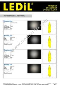 CA16128_OLGA-M Datasheet Page 8