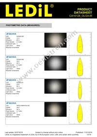 CA16128_OLGA-M Datasheet Page 10