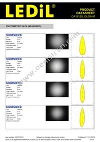 CA16128_OLGA-M Datasheet Page 15