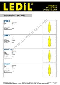 CA16128_OLGA-M Datasheet Page 17