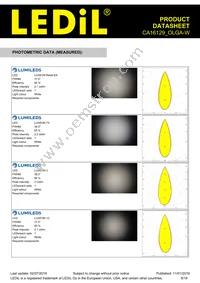 CA16129_OLGA-W Datasheet Page 8