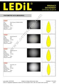 CA16129_OLGA-W Datasheet Page 12