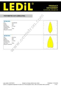 CA16129_OLGA-W Datasheet Page 17