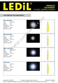 CA16202_GABRIELLA-MIDI-S Datasheet Page 5