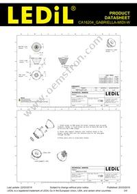 CA16204_GABRIELLA-MIDI-W Datasheet Page 3