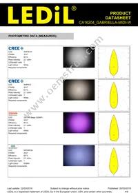 CA16204_GABRIELLA-MIDI-W Datasheet Page 4