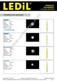 CA16206_SURI-RS Datasheet Page 5