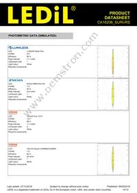 CA16206_SURI-RS Datasheet Page 10