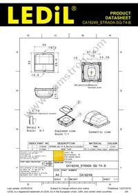 CA16249_STRADA-SQ-T4-B Datasheet Page 2