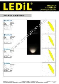 CA16308_OLGA-WAS Datasheet Page 7