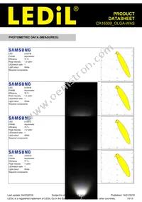 CA16308_OLGA-WAS Datasheet Page 10