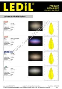 CA16674_OLGA-O Datasheet Page 5