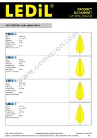 CA16674_OLGA-O Datasheet Page 6