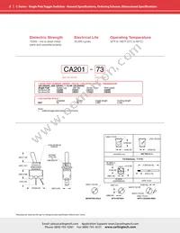 CA201-73 Datasheet Page 2