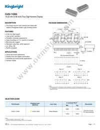 CA56-11GWA Datasheet Cover