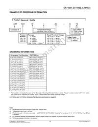 CAT1023LI42 Datasheet Page 19