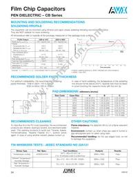 CB187G0105KBC Datasheet Page 15