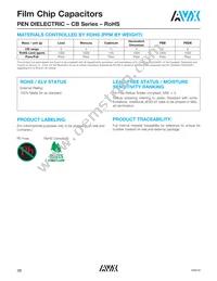 CB187G0105KBC Datasheet Page 19