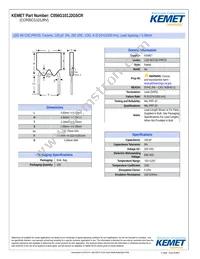 CCR05CG101JR Datasheet Cover