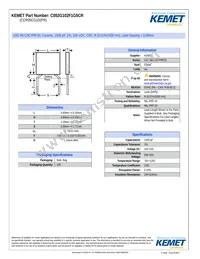 CCR05CG102FR Datasheet Cover