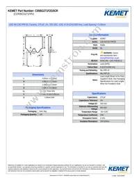 CCR05CG271FRV Datasheet Cover