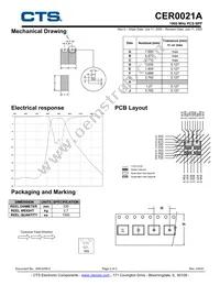 CER0021A Datasheet Page 2